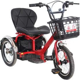 Einzigartiges, kompaktes, therapeutisches Elektro-Dreirad für Erwachsene Emily 2